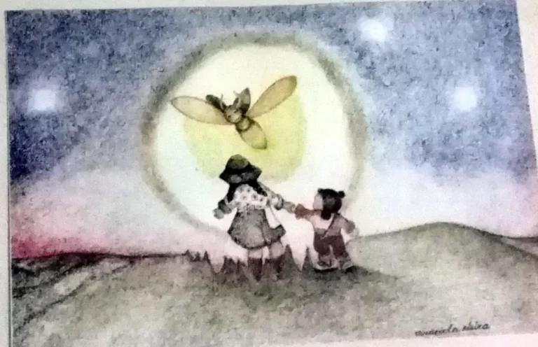 El Chasqui · 14
